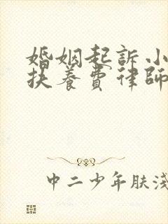 婚姻起诉小孩子扶养费律师要多少钱