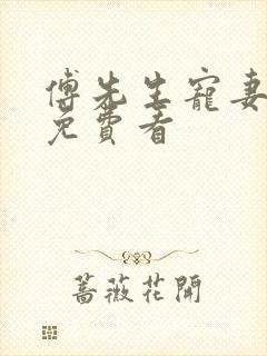 傅先生宠妻无度免费看