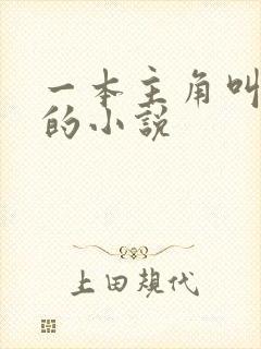 一本主角叫林萧的小说