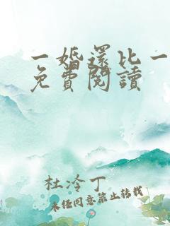 一婚还比一婚高免费阅读