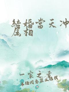 结婚当天冲新娘属相