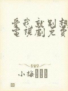 爱我就别想太多电视剧免费看