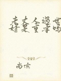 老丈人过世,女婿是重孝吗