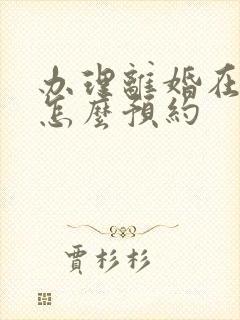 办理离婚在网上怎么预约