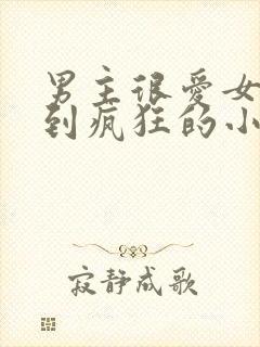 男主很爱女主爱到疯狂的小说