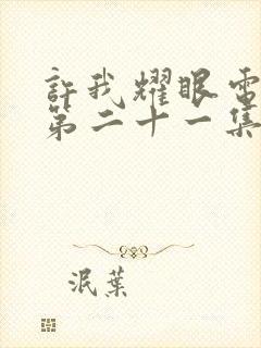 许我耀眼电视剧第二十一集