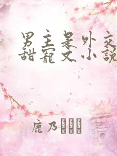 男主是外交官的甜宠文小说