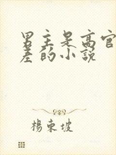 男主是高官年龄差的小说