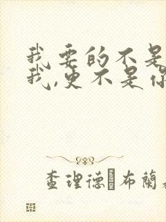 我要的不是你爱我,更不是你恨我是什么歌