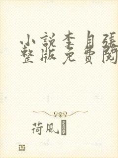 小说李月张勇完整版免费阅读