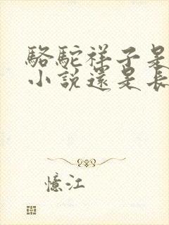 骆驼祥子是短篇小说还是长篇小说