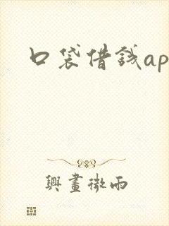 口袋借钱app