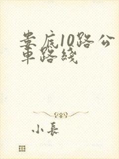 娄底10路公交车路线