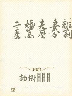 二婚夫妻离婚房产怎么分割