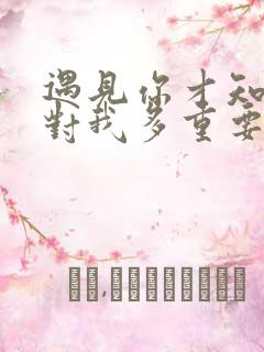 遇见你才知道你对我多重要什么歌