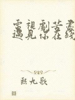 电视剧苦尽柑来遇见你在线观看免费完整版