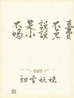 不是说不喜欢我吗小说免费阅读