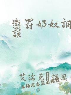 惩罚奶奴调教小说