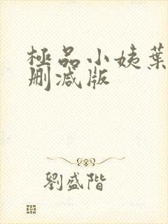 极品小姨叶凡无删减版