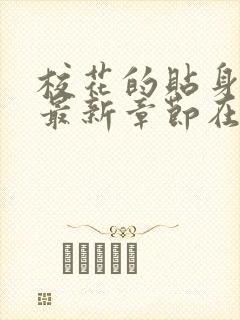 校花的贴身高手最新章节在线阅读