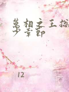 万相之王总共多少章节