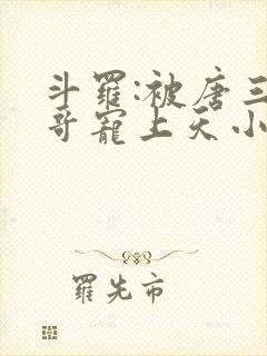 斗罗:被唐三哥哥宠上天小说