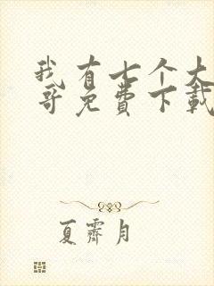 我有七个大佬哥哥免费下载