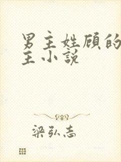 男主姓顾的双男主小说