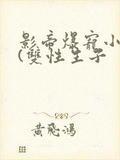 影帝爆宠小骚妻(双性生子