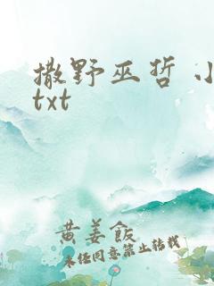 撒野巫哲 小说txt