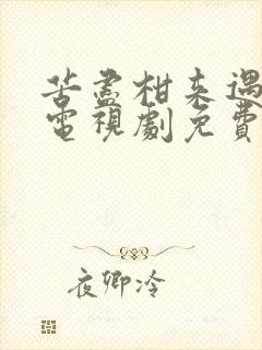 苦尽柑来遇见你电视剧免费观看完整版高清