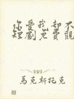 你爱我却不懂我短剧免费观看