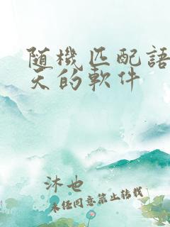 随机匹配语音聊天的软件