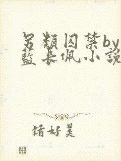 另类囚禁by又蓝长佩小说全文免费阅读