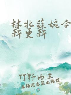 林北苏婉今天最新更新