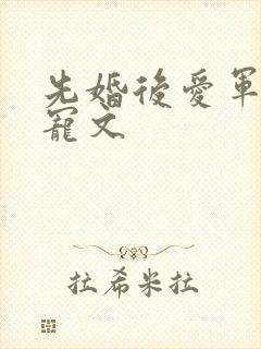 先婚后爱军婚甜宠文