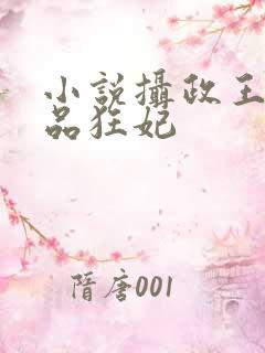 小说摄政王的医品狂妃