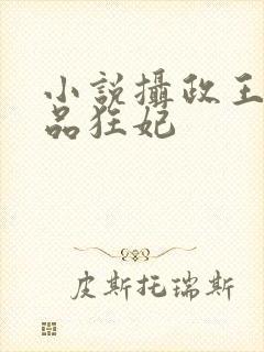 小说摄政王的医品狂妃