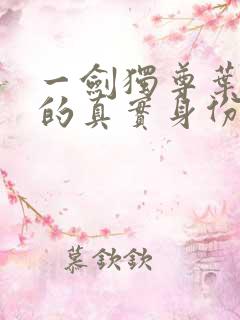 一剑独尊叶青青的真实身份