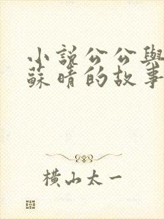 小说公公与儿媳苏晴的故事全文阅读