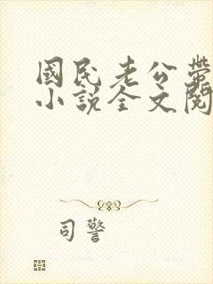 国民老公带回家小说全文阅读免费