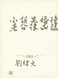 小说先婚后爱:老公很凶猛txt下载