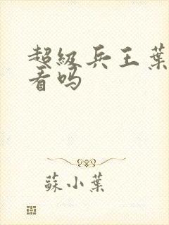 超级兵王叶谦好看吗