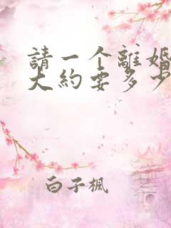 请一个离婚律师大约要多少钱