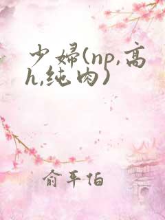 少妇(np,高h,纯肉)