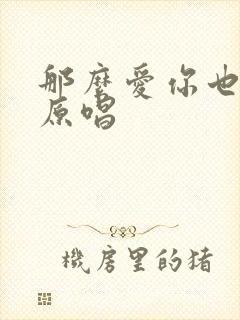 那么爱你也没用原唱