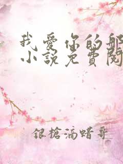 我爱你的那十年小说免费阅读