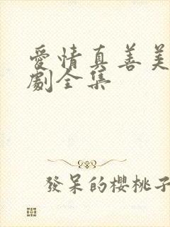 爱情真善美电视剧全集