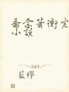 乔念萧衡完结版小说