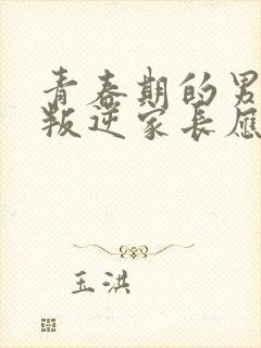 青春期的男孩子叛逆家长应该怎么做